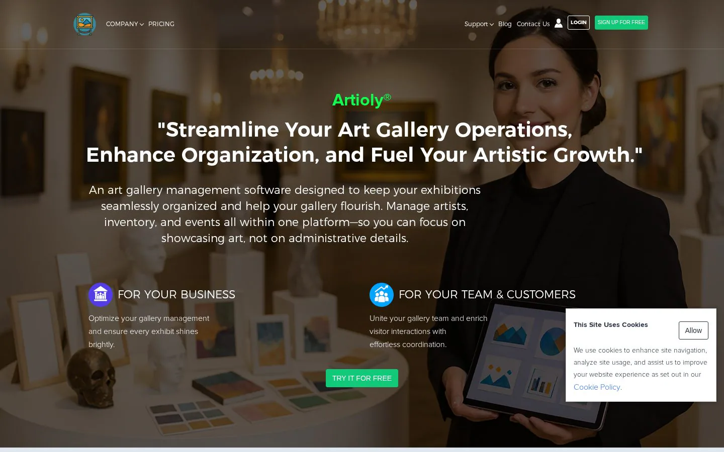 Artioly website homepage