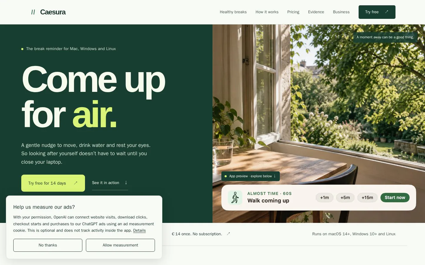Caesura website homepage