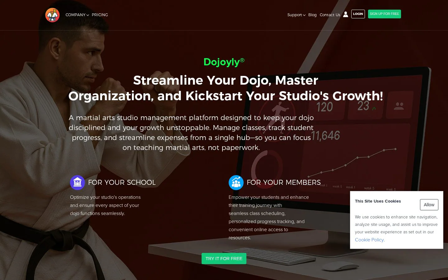 Dojoyly website homepage