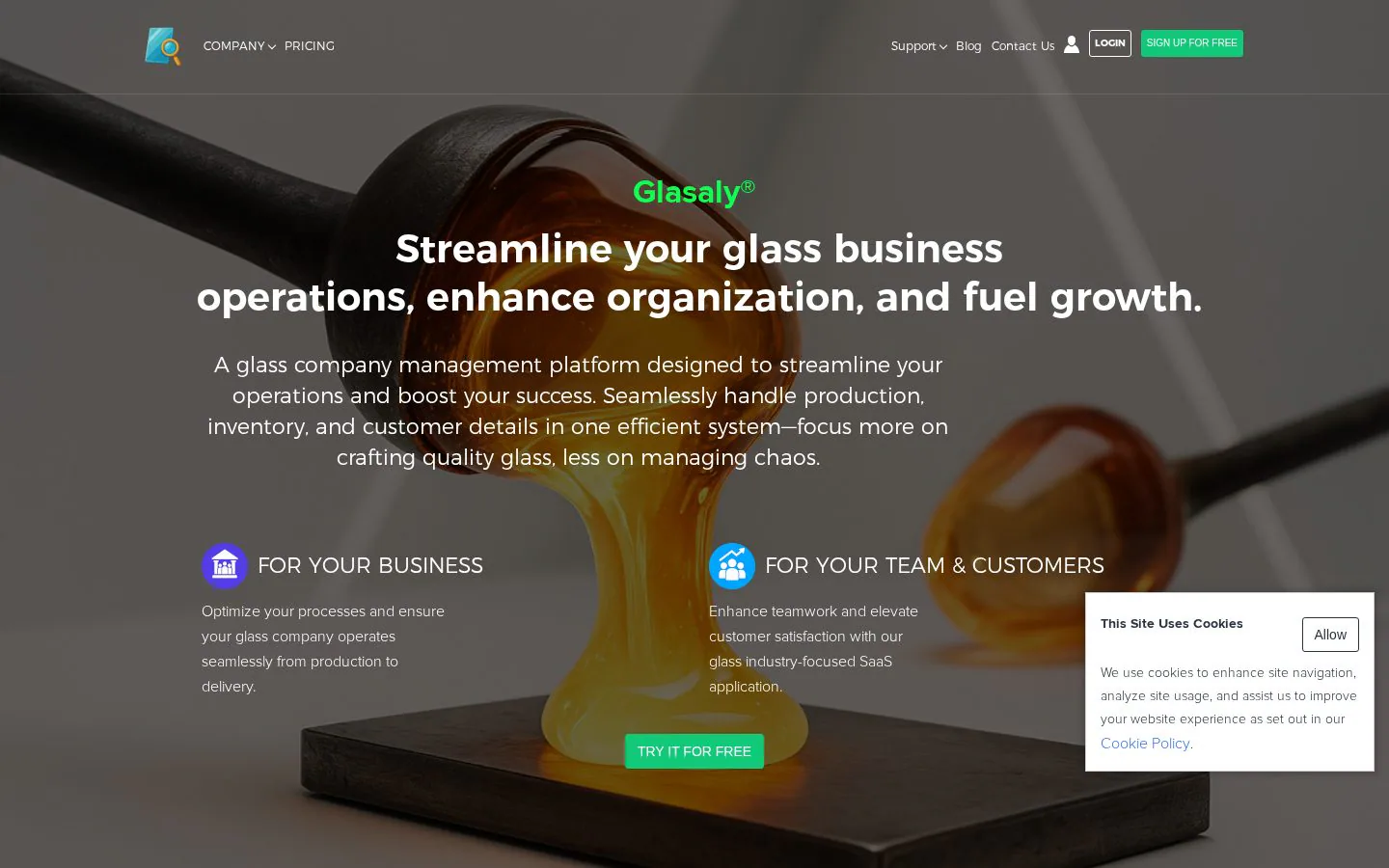 Glasaly website homepage