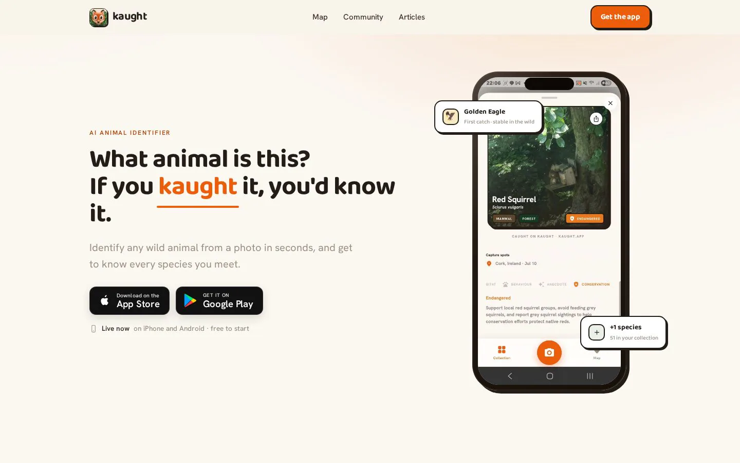 Kaught website homepage