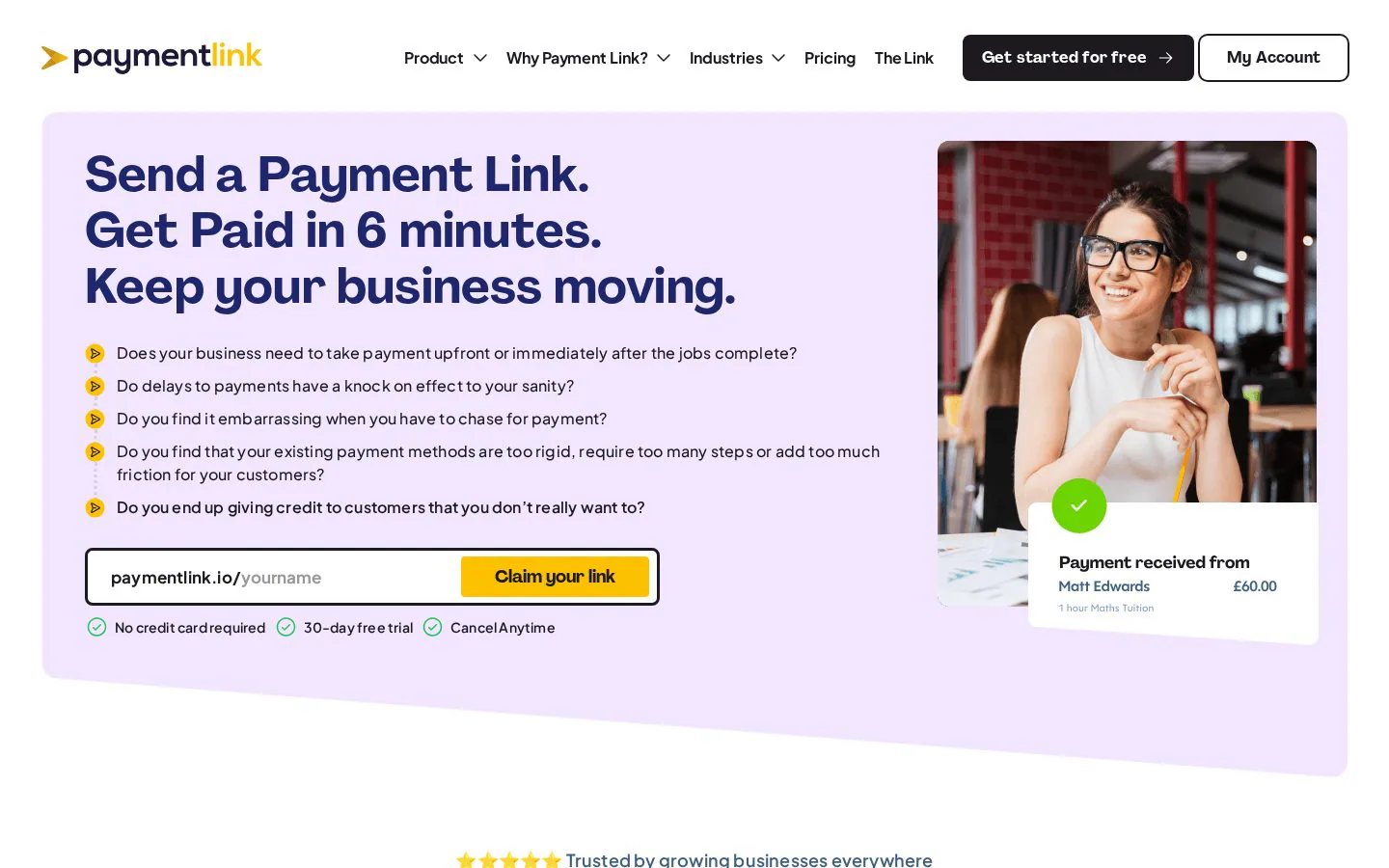 Payment Link website homepage