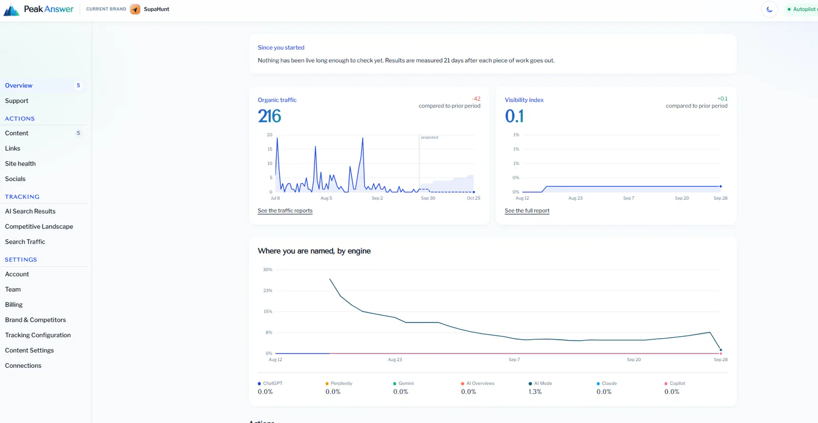 Peak Answer dashboard showing traffic graph with 216 visitors and engagement metrics
