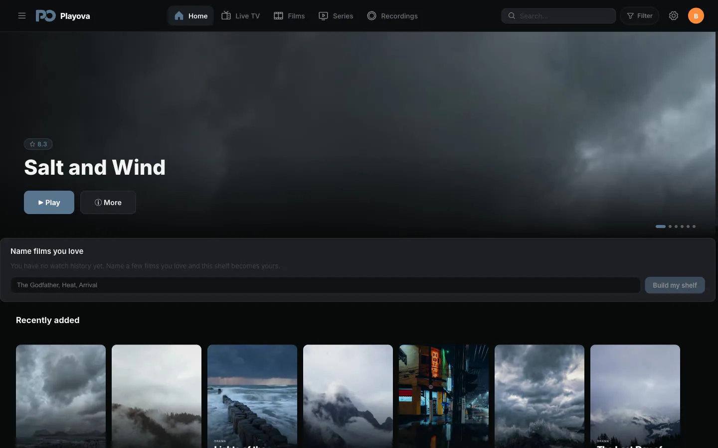 A screen shot of a music player with the words Salt and Wind on it.