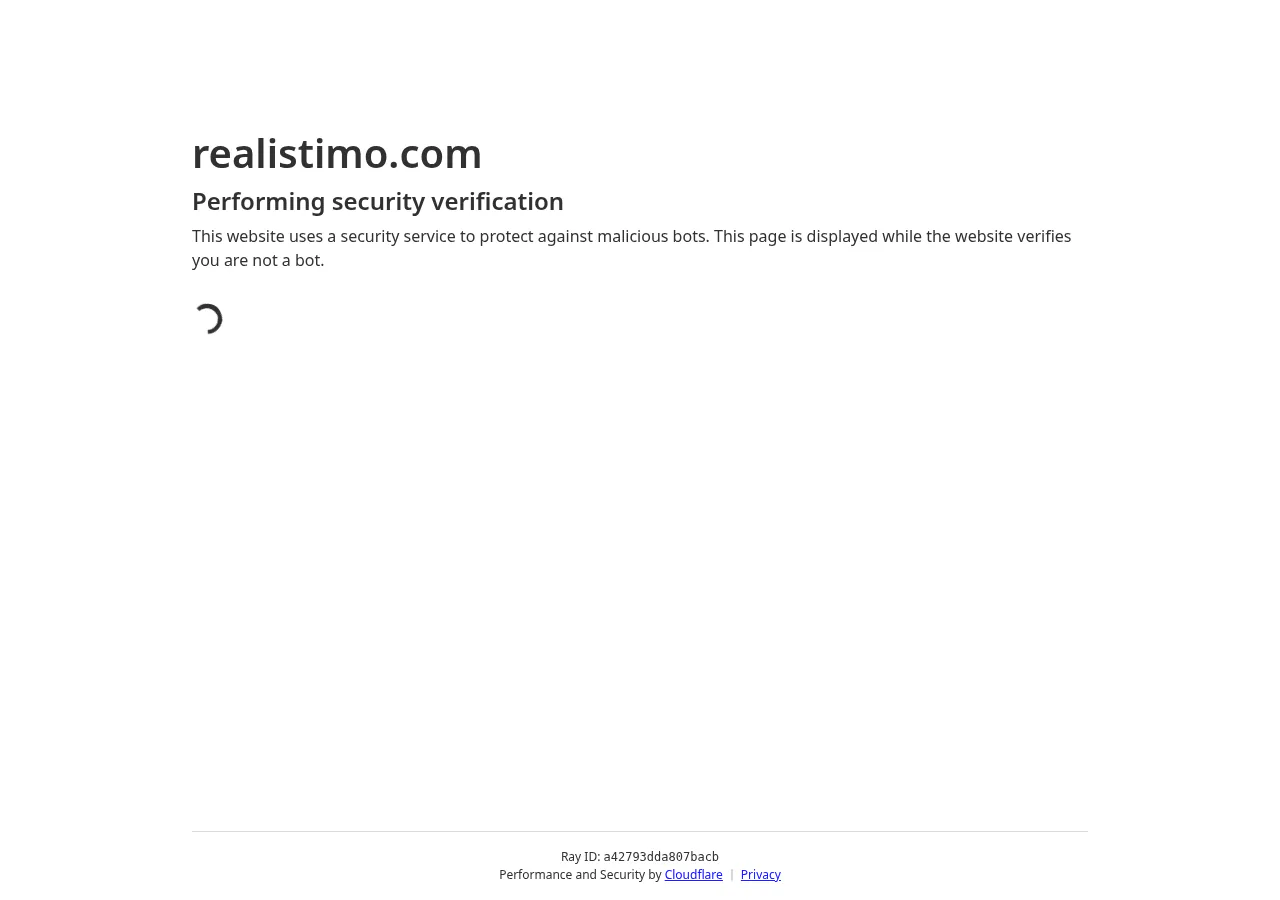 Realistimo performing security verification page showing loading spinner