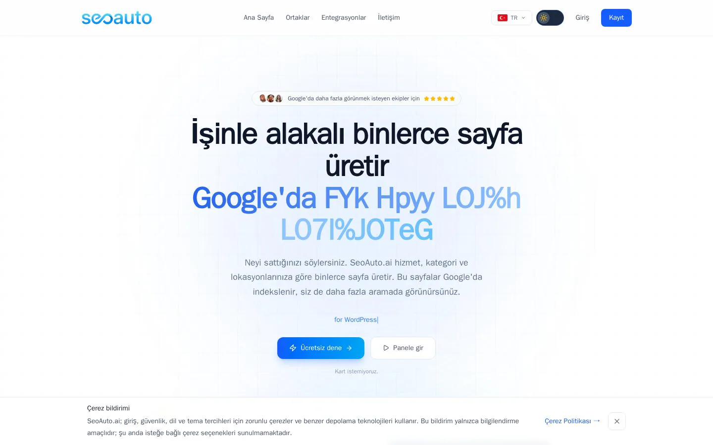 SeoAuto.ai website homepage