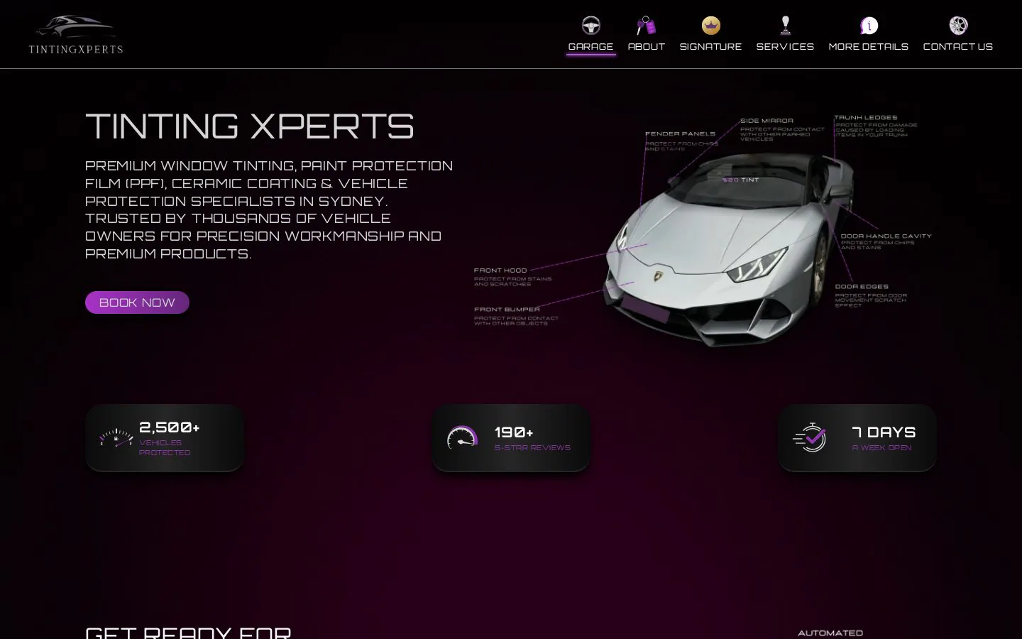 TInting Xperts website homepage