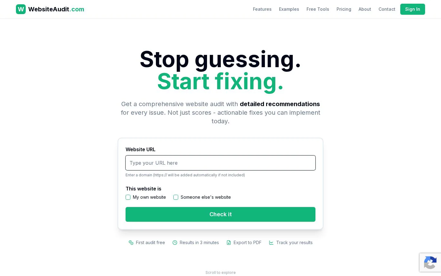 Homepage of websiteaudit.com